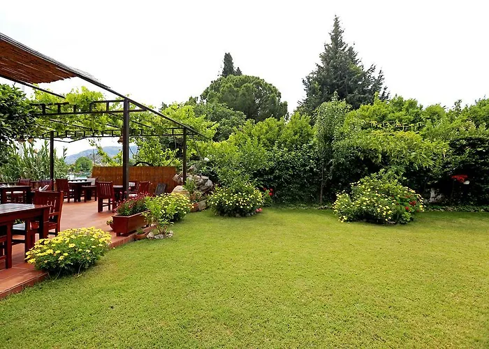 Midas Dalyan