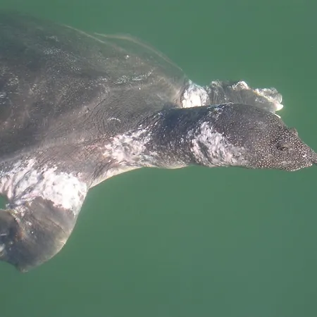 Guest house Midas 3*